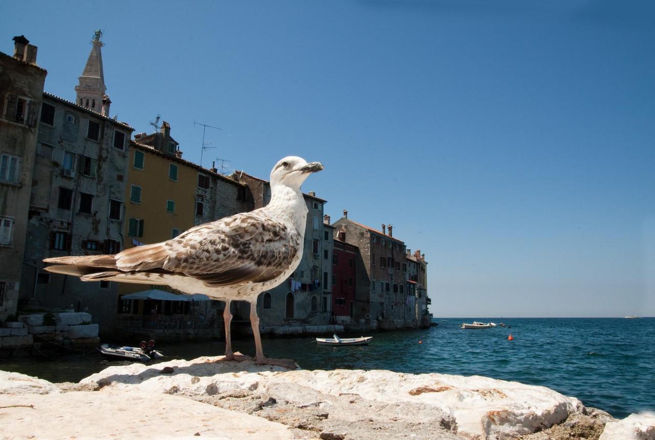Maximus Daire Rovinj Dış mekan fotoğraf